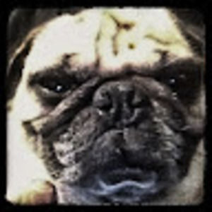 Meet your Posher, Lance